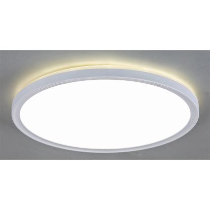 Hämardatav LED laevalgusti PAVEL LED/22W/230V