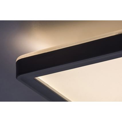 Rabalux - LED hämardatav laelamp LED/22W/230V 42x42 cm