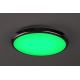 Rabalux - LED RGB Laevalgusti vannituppa LED/18W/230V d. 30 cm 3000-6500K IP44 + kaugjuhtimispult