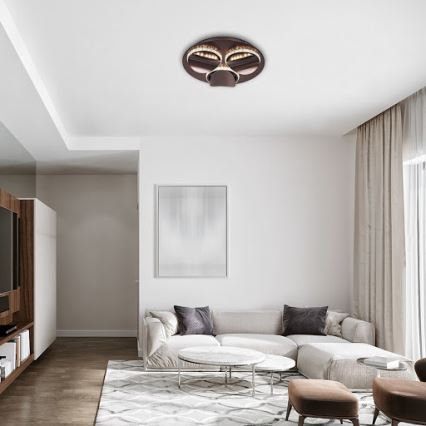 Rabalux - hämardatav LED-laelamp CAPRIANA LED/18W/230V, läbimõõt 38 cm