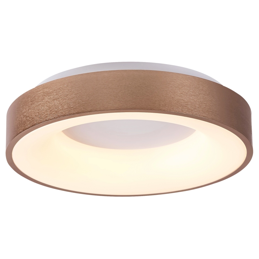 Rabalux - LED Laevalgusti CARMELA LED/30W/230V