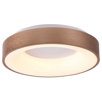 Rabalux 5053 - LED-laevalgusti CARMELA LED/50W/230V