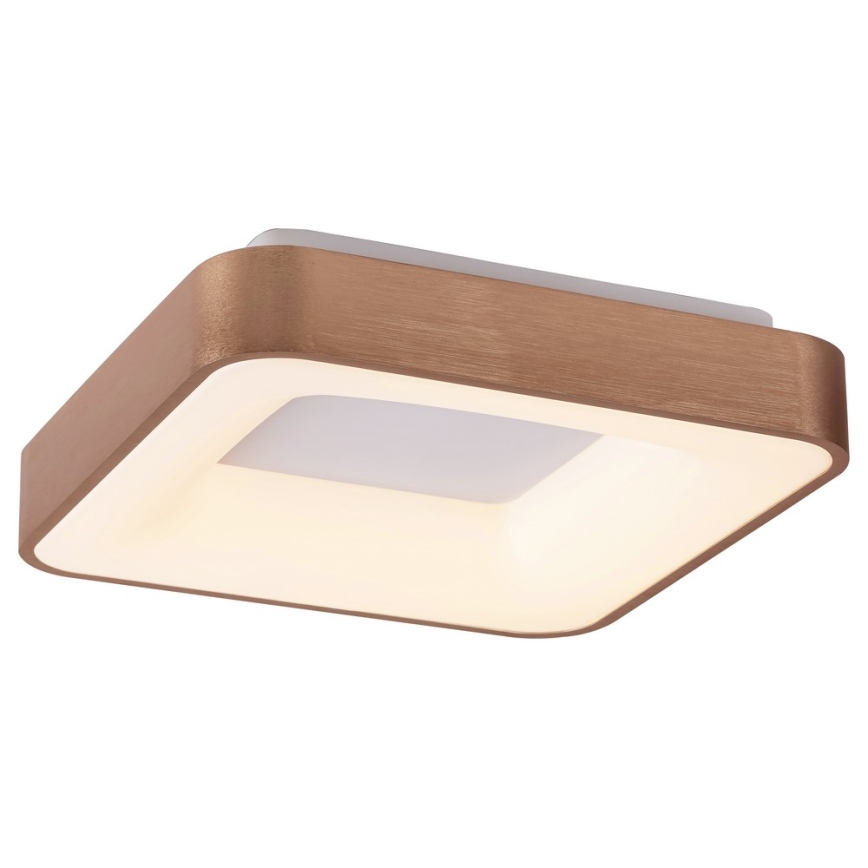 Rabalux - LED Laevalgusti CARMELA LED/30W/230V 40x40 cm