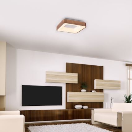 Rabalux - LED Laevalgusti CARMELA LED/30W/230V 40x40 cm