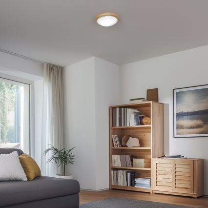 Rabalux - Laevalgusti 1xE27/60W/230V d. 30 cm
