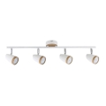 Rabalux 5567 - LED-kohtvalgusti KAREN 4xLED/4W/230V