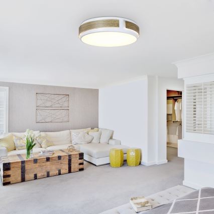 Rabalux - hämardatav LED-laelamp, 24 W/230 V, läbimõõt 42 cm