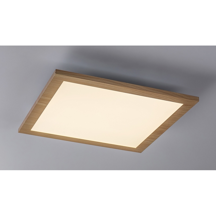 Rabalux - LED Pinnale kinnitatav paneel LED/12W/230V 4000K