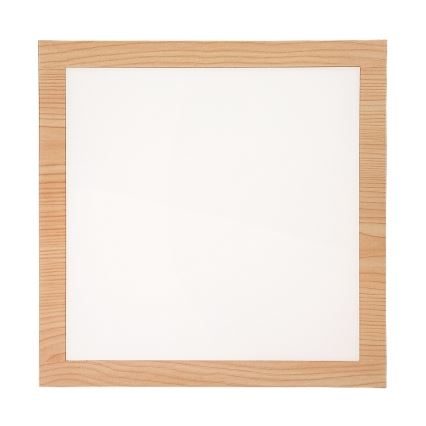 Rabalux - LED Pinnale kinnitatav paneel LED/12W/230V 4000K