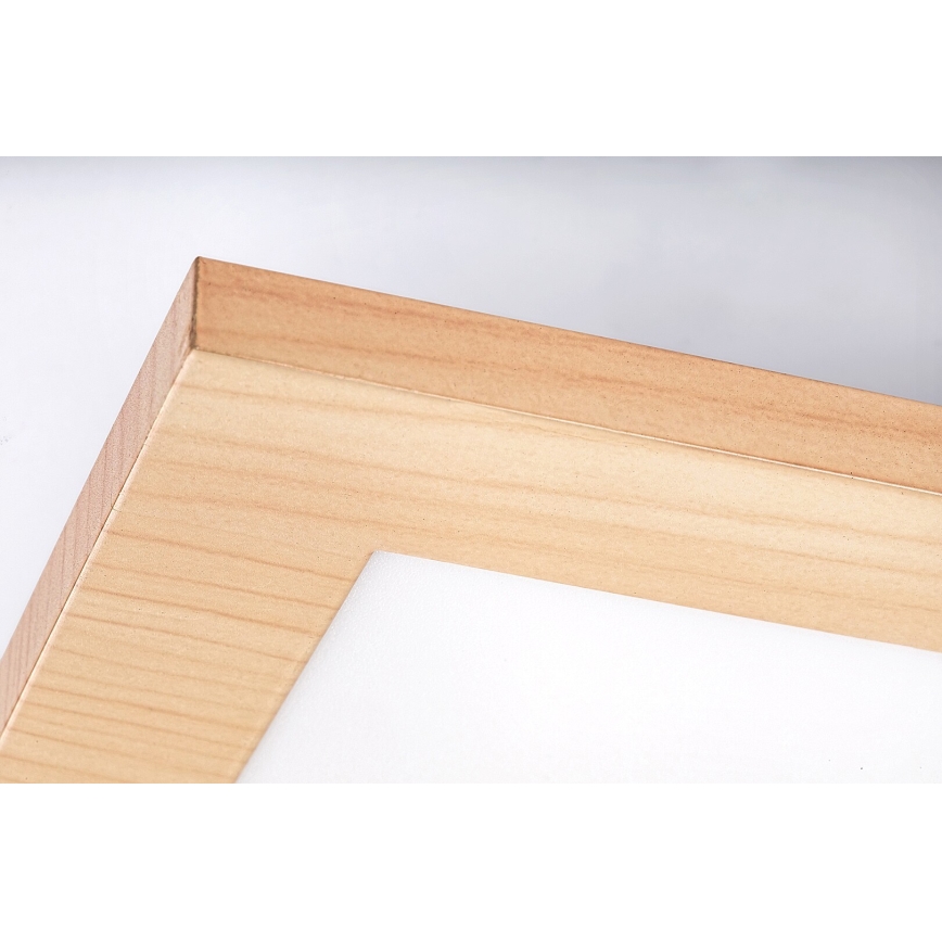 Rabalux - LED Pinnale kinnitatav paneel LED/12W/230V 4000K