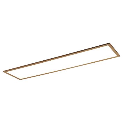 Rabalux - LED Pinnale kinnitatav paneel LED/40W/230V 4000K
