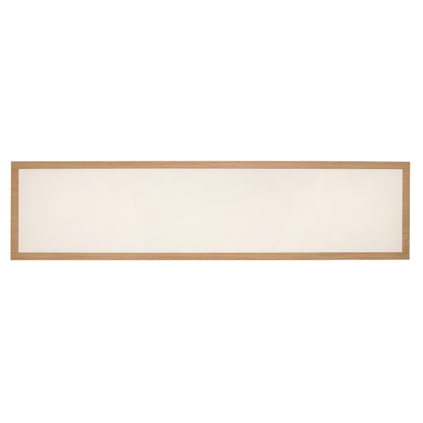 Rabalux - LED Pinnale kinnitatav paneel LED/40W/230V 4000K