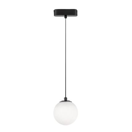 Rabalux - LED Lühter ühefaasilise rööbassüsteemi jaoks LED/5W/24V 4000K must