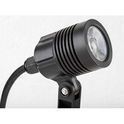 Rabalux - LED Välilamp LED/3W/230V IP65