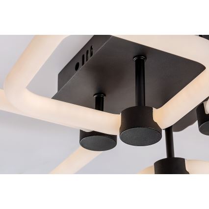 Rabalux - LED hämardatav laelamp LED/47W/230V 3000/4000/6000K + kaugjuhtimispult 46x54 cm