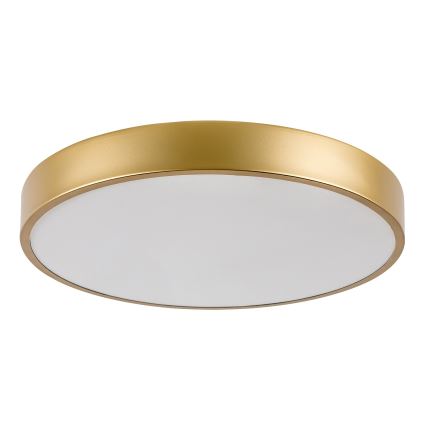 Rabalux - LED laevalgusti LED/36W/230V 3000K läbimõõt 40 cm