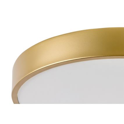 Rabalux - LED laevalgusti LED/36W/230V 3000K läbimõõt 40 cm