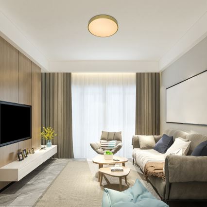 Rabalux - LED-hämardatav laelamp LED/60W/230V 3000–6000K + kaugjuhtimispult, läbimõõt 60 cm