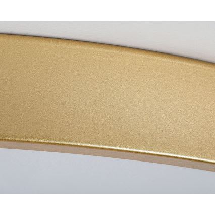 Rabalux - LED-hämardatav laelamp LED/60W/230V 3000–6000K + kaugjuhtimispult, läbimõõt 60 cm