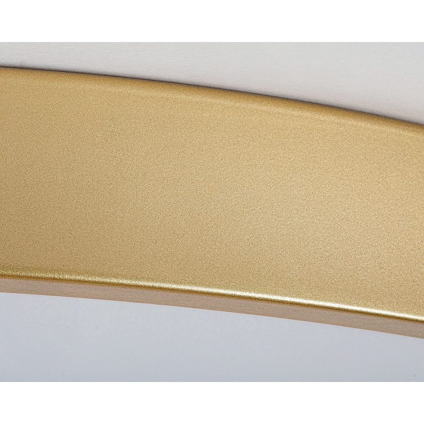 Rabalux - LED-hämardatav laelamp LED/60W/230V 3000–6000K + kaugjuhtimispult, läbimõõt 60 cm