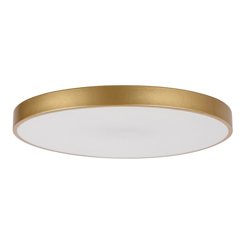 Rabalux - LED Hämardatav laevalgusti LED/60W/230V 3000-6000K + kaugjuhtimispult
