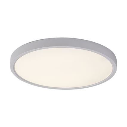 Rabalux - LED Laevalgusti LED/24W/230V 4000K d. 30 cm valge