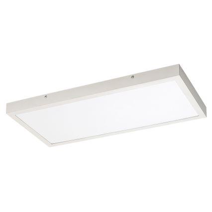 Rabalux - LED Pinnale kinnitatav valguspaneel LED/24W/230V 4000K 60x30 cm