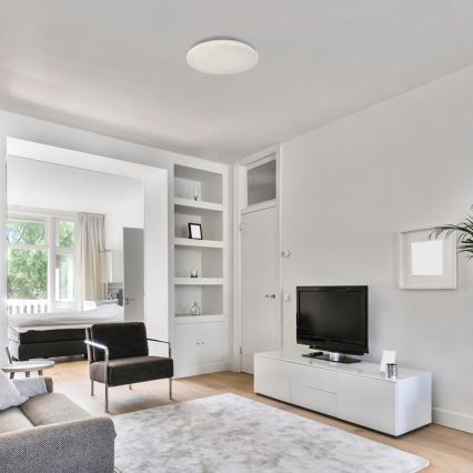 Rabalux - LED laevalgusti LED/12W/230V 4000K läbimõõt 25,5 cm