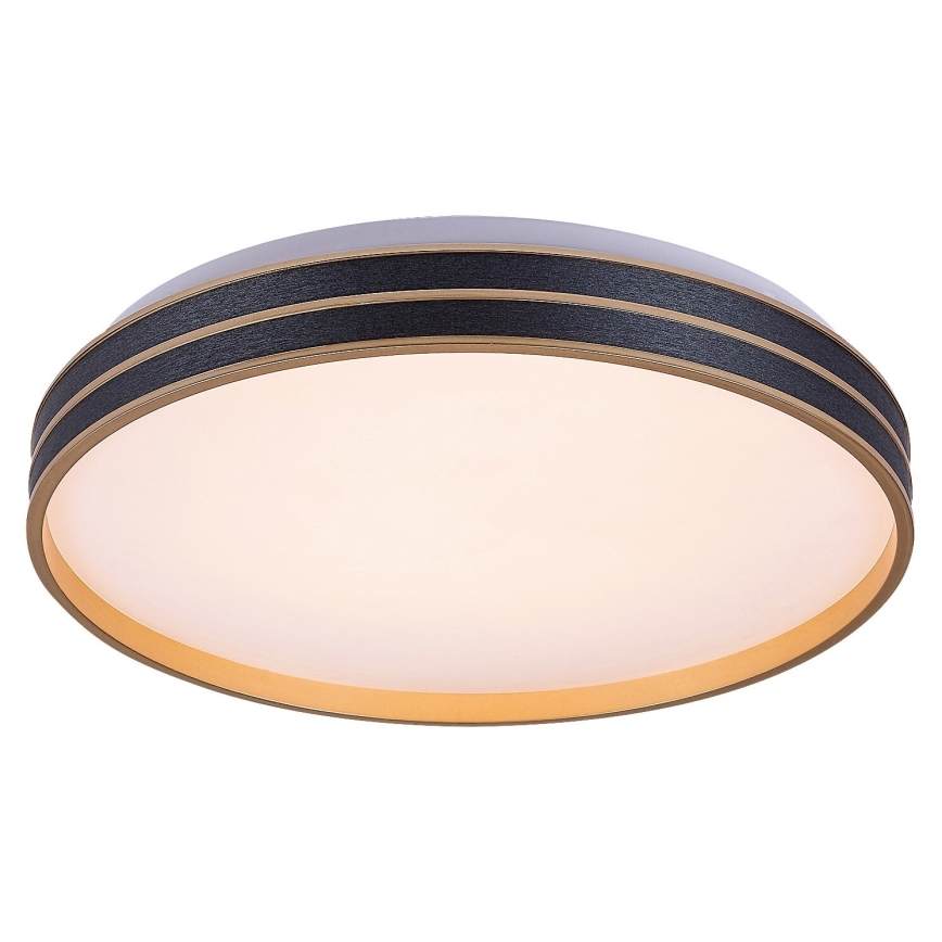Rabalux - LED hämardatav laevalgusti LED/24W/230V 3000-6500K läbimõõt 39 cm + kaugjuhtimispult