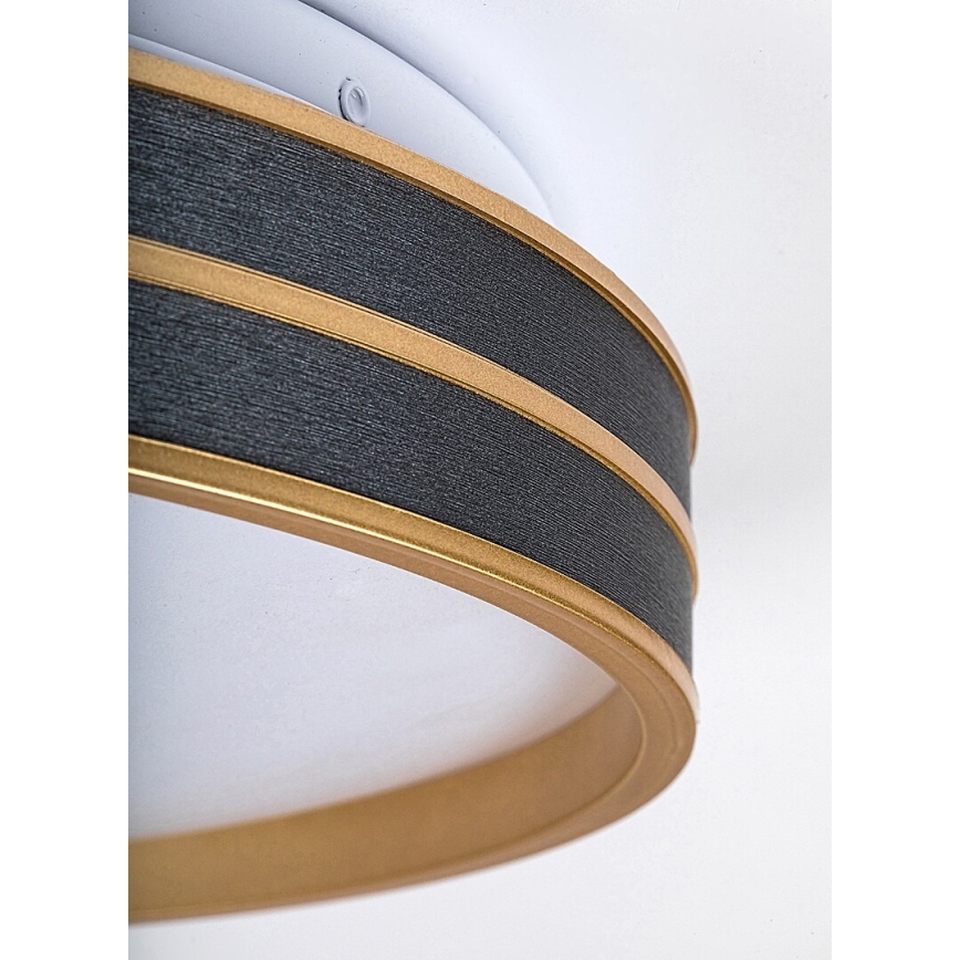 Rabalux - LED hämardatav laevalgusti LED/24W/230V 3000-6500K läbimõõt 39 cm + kaugjuhtimispult