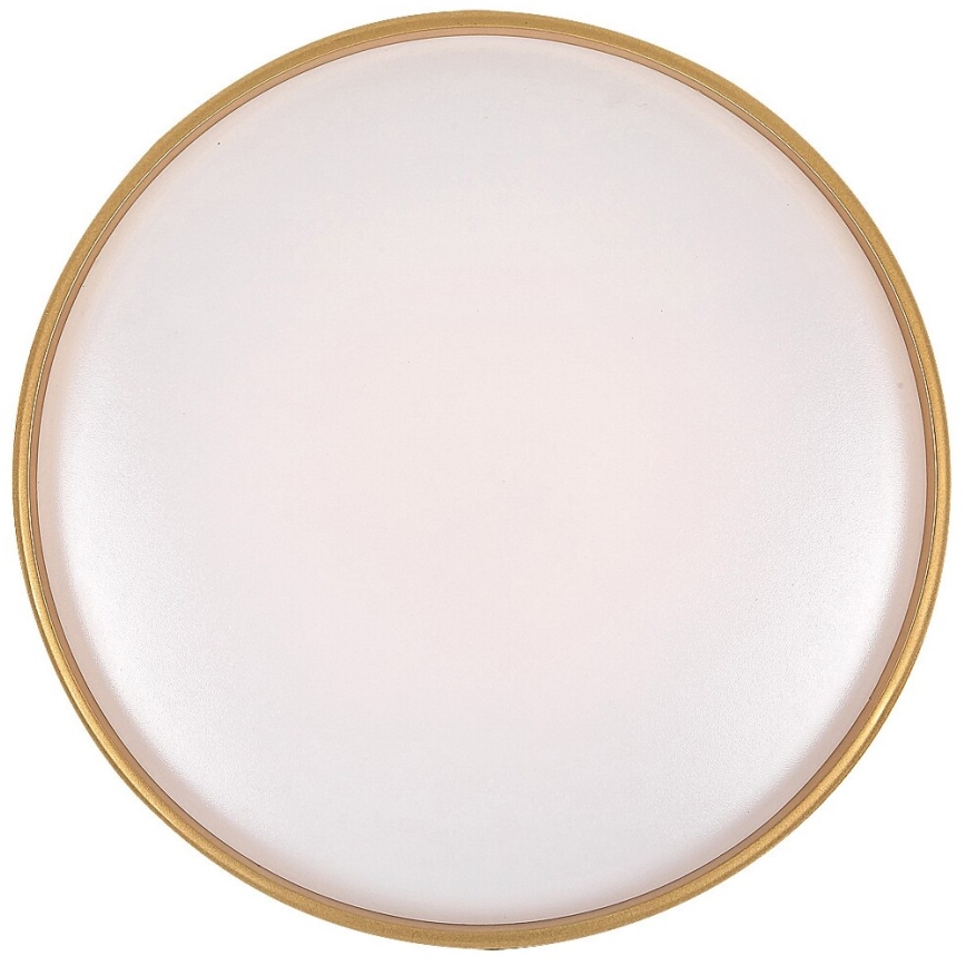 Rabalux - LED Hämardatav laevalgusti LED/24W/230V 3000-6500K + kaugjuhtimispult