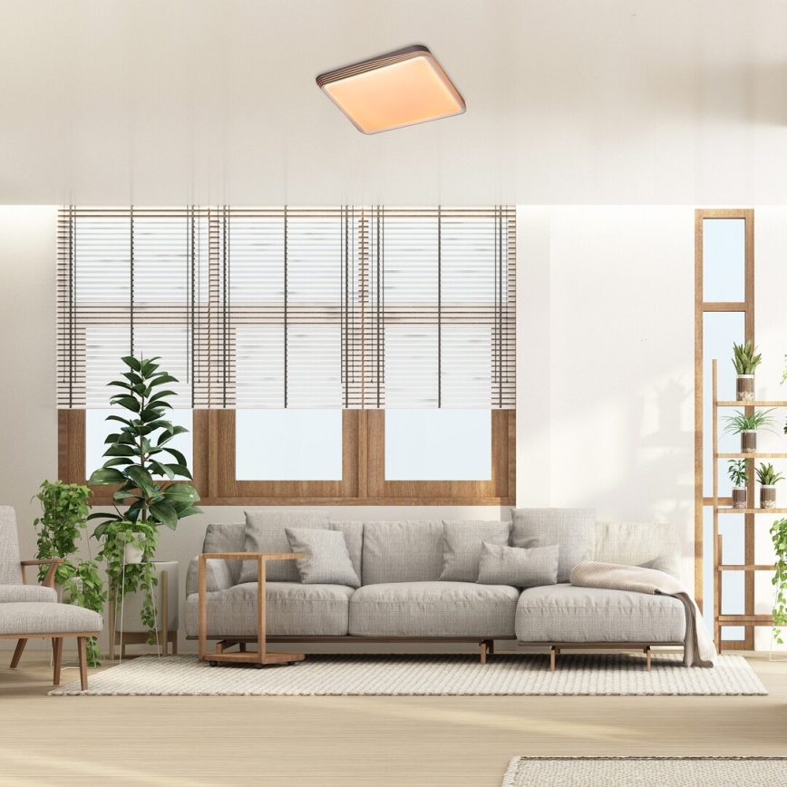 Rabalux - LED Laevalgusti LED/40W/230V 3000K