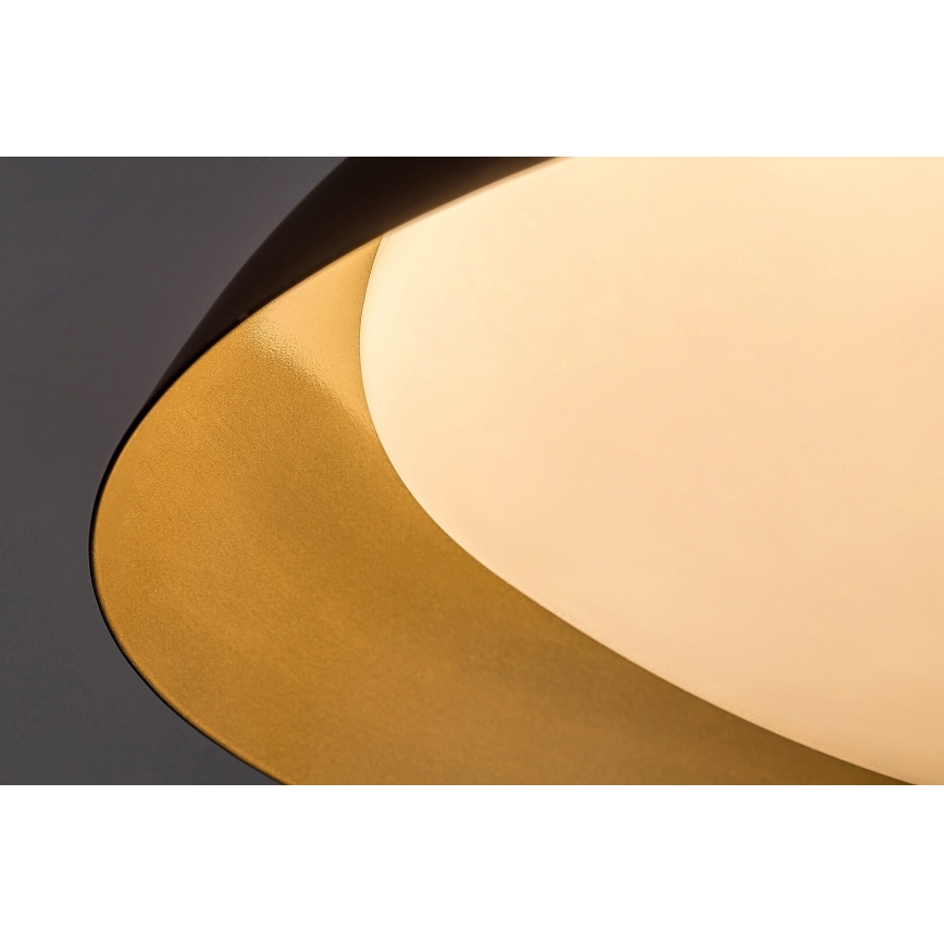 Rabalux - LED Laevalgusti LED/20W/230V 3000K d. 30 cm