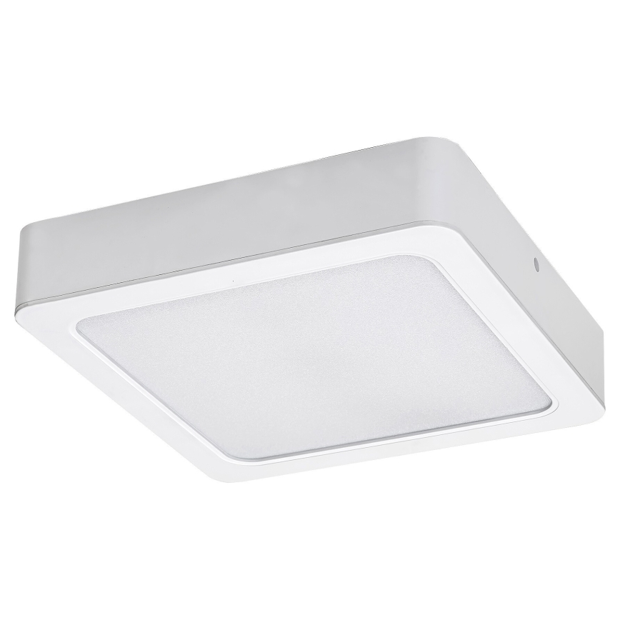 Rabalux - LED Laevalgusti LED/7W/230V 4000K 12x12 cm valge