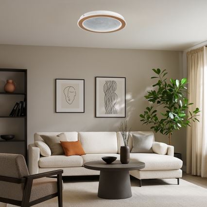 Rabalux - hämardatav LED-laelamp LED/24W/2300V 3000-6500K Ø 40 cm + kaugjuhtimispult