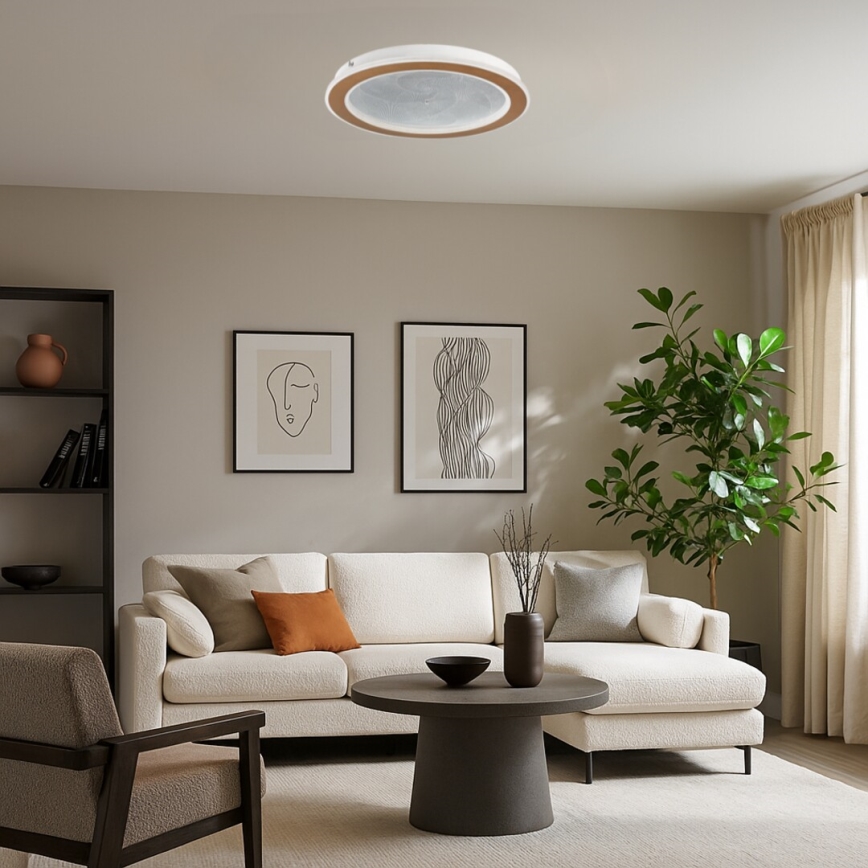 Rabalux - hämardatav LED-laelamp LED/24W/2300V 3000-6500K Ø 40 cm + kaugjuhtimispult