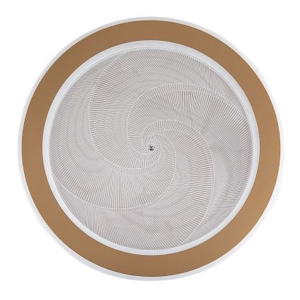 Rabalux - hämardatav LED-laelamp LED/24W/2300V 3000-6500K Ø 40 cm + kaugjuhtimispult