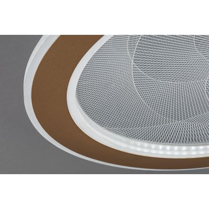 Rabalux - LED hämardatav laelamp LED/24W/230V 3000-6500K läbimõõt 40 cm + kaugjuhtimispult