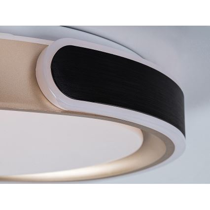 Rabalux - LED Hämardatav laevalgusti LED/48W/230V 3000-6500K + kaugjuhtimispult