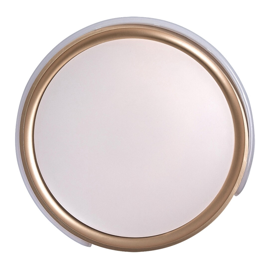 Rabalux - LED Hämardatav laevalgusti LED/48W/230V 3000-6500K + kaugjuhtimispult