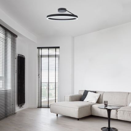 Rabalux - LED laelamp LED/24W/230V 3000/4000/6500K läbimõõt 40 cm