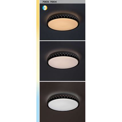 Rabalux - LED Hämardatav laevalgusti LED/48W/230V 3000-6500K + kaugjuhtimispult