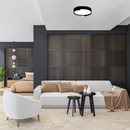 Rabalux - LED Hämardatav laevalgusti LED/24W/230V 3000-6500K + kaugjuhtimispult