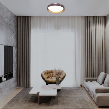 Rabalux - LED Hämardatav laevalgusti LED/48W/230V 3000-6500K + kaugjuhtimispult