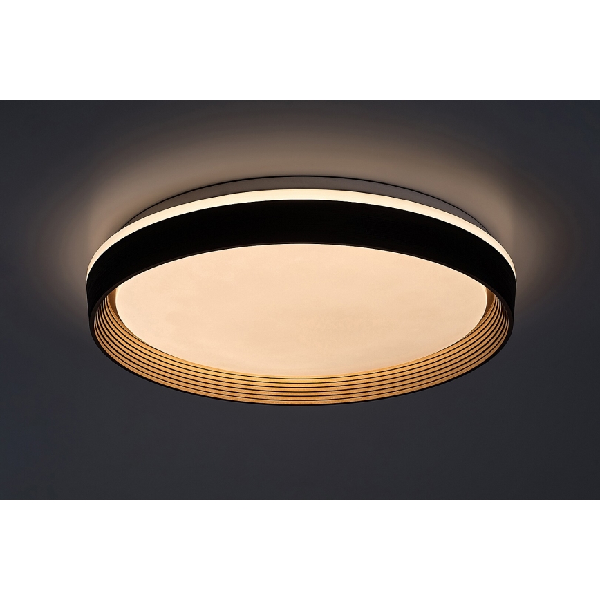 Rabalux - LED Hämardatav laevalgusti LED/48W/230V 3000-6500K + kaugjuhtimispult