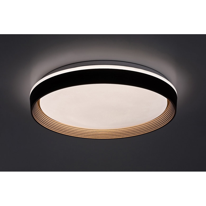 Rabalux - LED Hämardatav laevalgusti LED/48W/230V 3000-6500K + kaugjuhtimispult