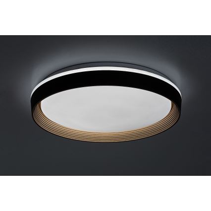 Rabalux - LED Hämardatav laevalgusti LED/48W/230V 3000-6500K + kaugjuhtimispult