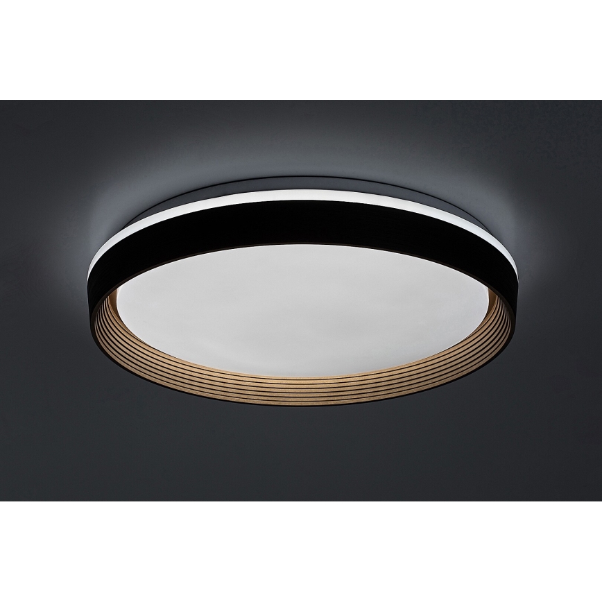 Rabalux - LED Hämardatav laevalgusti LED/48W/230V 3000-6500K + kaugjuhtimispult