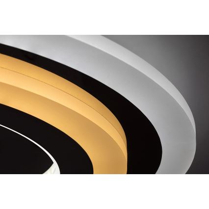 Rabalux - LED hämardatav laelamp LED/56W/230V 3000/4000/6000K mattkroom + kaugjuhtimispult läbimõõt 45 cm