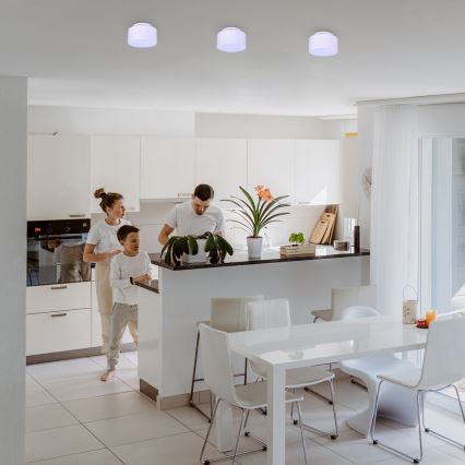 Rabalux - LED laevalgusti LED/24W/230V 3000K valge läb. 14 cm